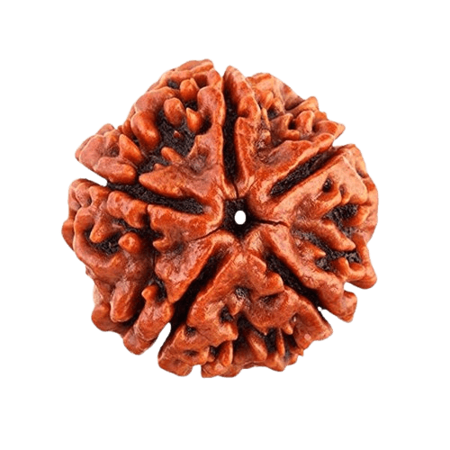 Rudraksha Mala